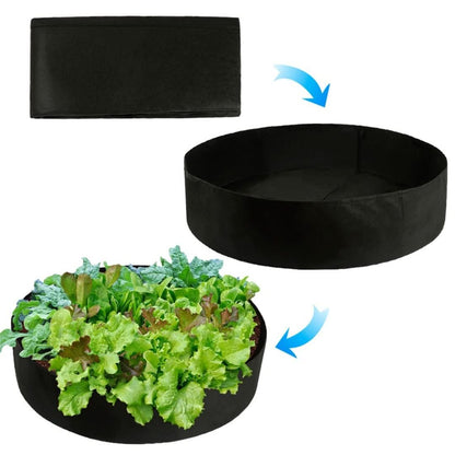 Skorter | Cultivation Box - Mini Kitchen Garden for Every Home