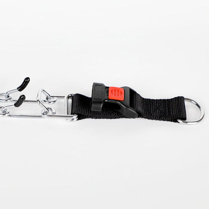 Skorter | Dog Pincher Collar - Stylish C