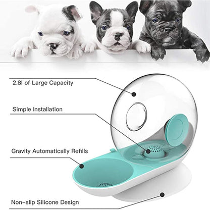 Skorter | Automatic Aqua Oasis - Automatic Pet Water Bowl