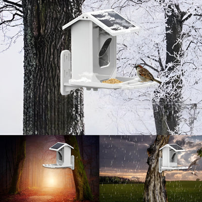 Skorter | Auxco | Smart Bird Feeder with 1080P HD Camera, AI Bird Recognition & Solar Charging