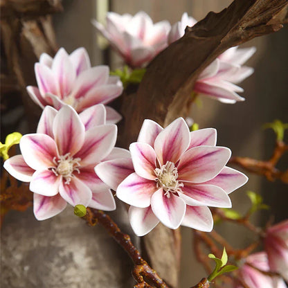 Skorter | Artificial Magnolia Flowers