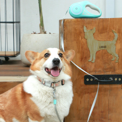Skorter | Retractable Lighting Dog Leash
