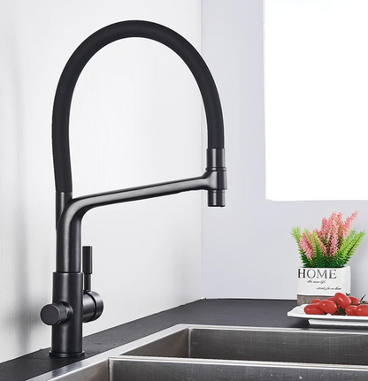 Skorter | Double Outlet Drinking Water Faucet Filtered Kitchen Faucets