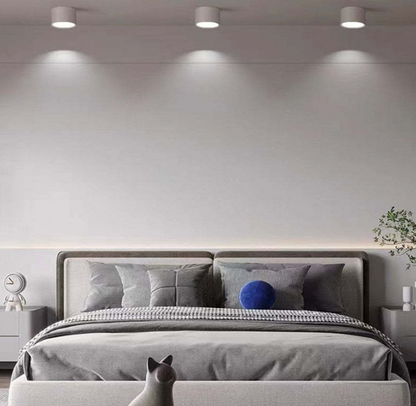 Skorter | Morandi-inspired Modern LED ceiling lamp