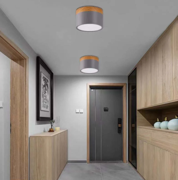 Skorter | Morandi-inspired Modern LED ceiling lamp