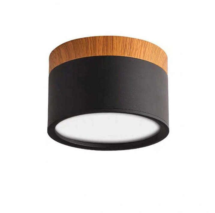 Skorter | Morandi-inspired Modern LED ceiling lamp