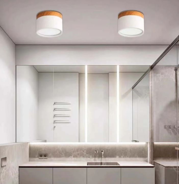 Skorter | Morandi-inspired Modern LED ceiling lamp