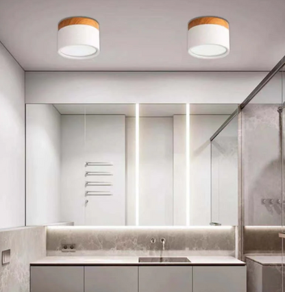 Skorter | Morandi-inspired Modern LED ceiling lamp