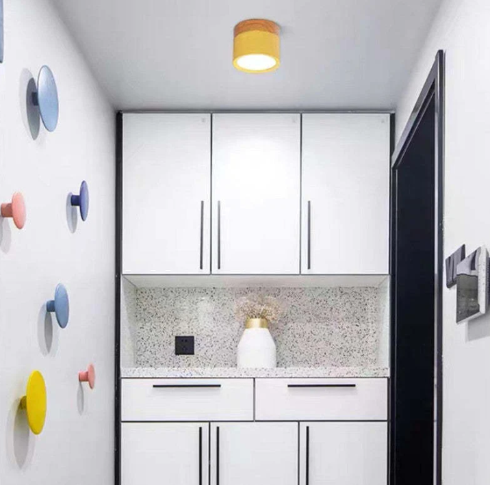 Skorter | Morandi-inspired Modern LED ceiling lamp