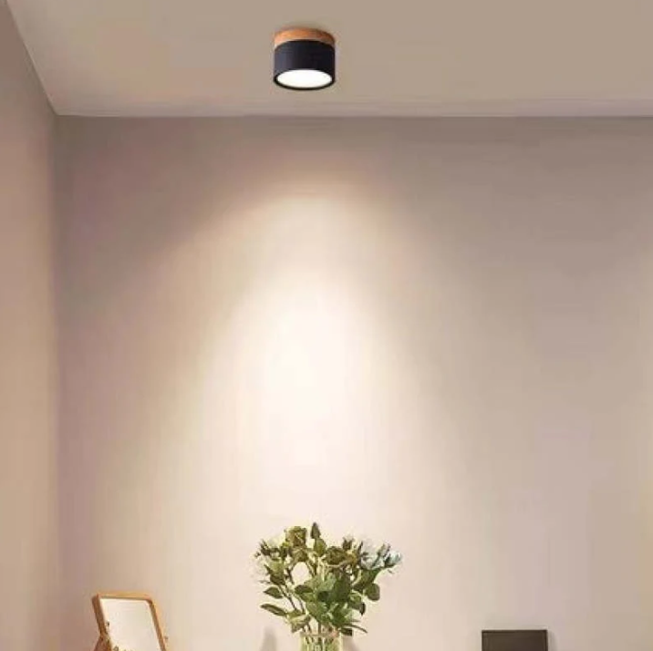 Skorter | Morandi-inspired Modern LED ceiling lamp