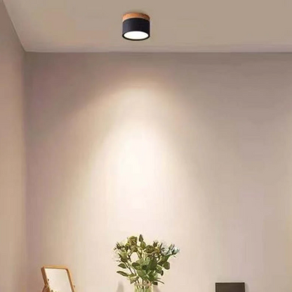 Skorter | Morandi-inspired Modern LED ceiling lamp