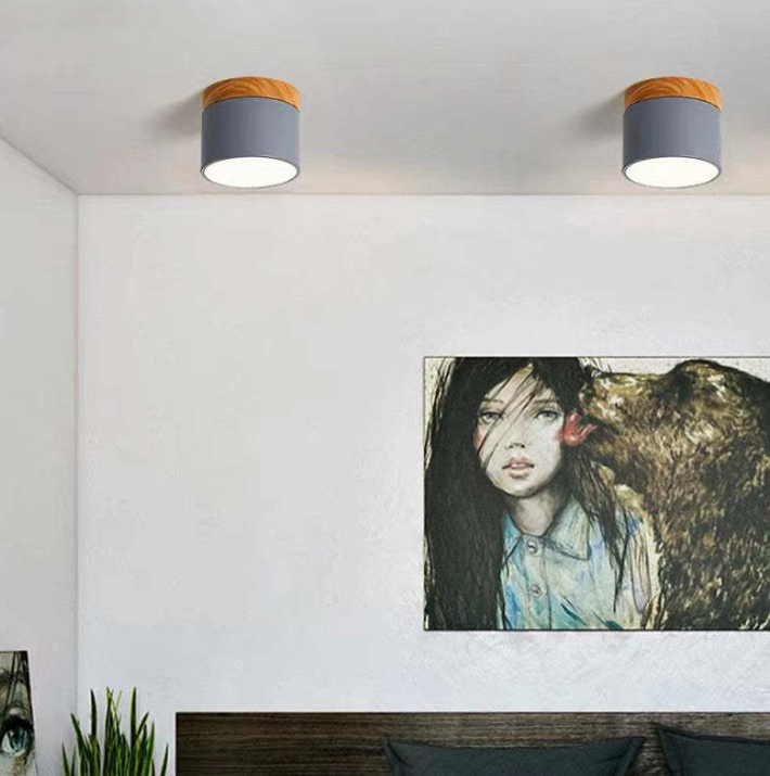 Skorter | Morandi-inspired Modern LED ceiling lamp