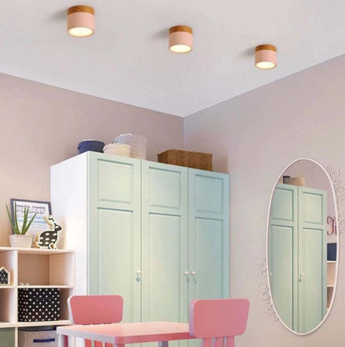 Skorter | Morandi-inspired Modern LED ceiling lamp