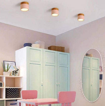 Skorter | Morandi-inspired Modern LED ceiling lamp