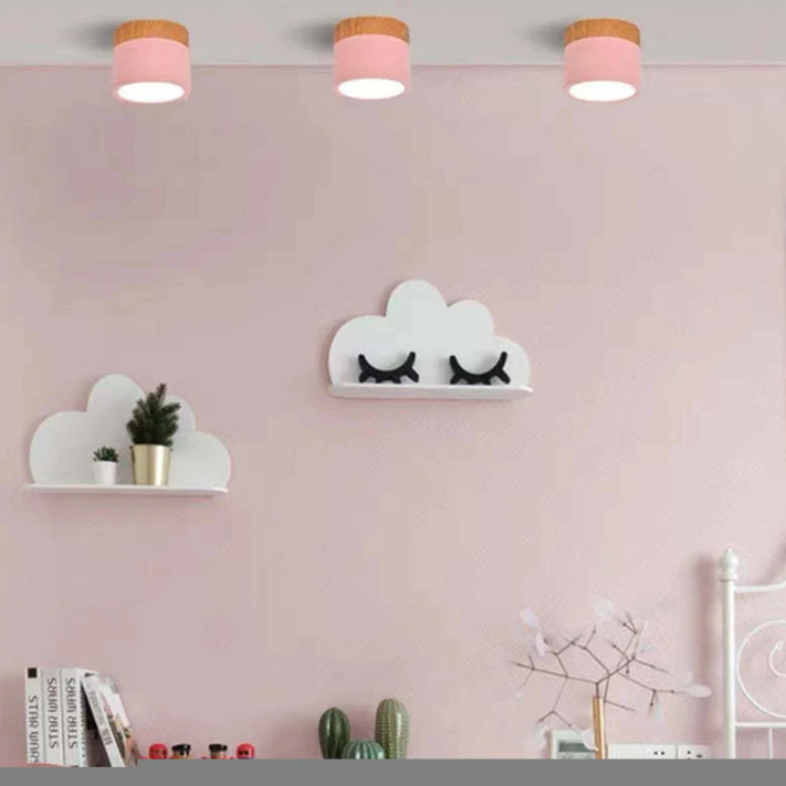 Skorter | Morandi-inspired Modern LED ceiling lamp