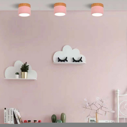 Skorter | Morandi-inspired Modern LED ceiling lamp