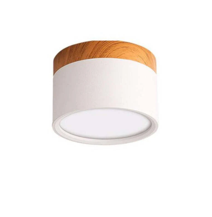 Skorter | Morandi-inspired Modern LED ceiling lamp