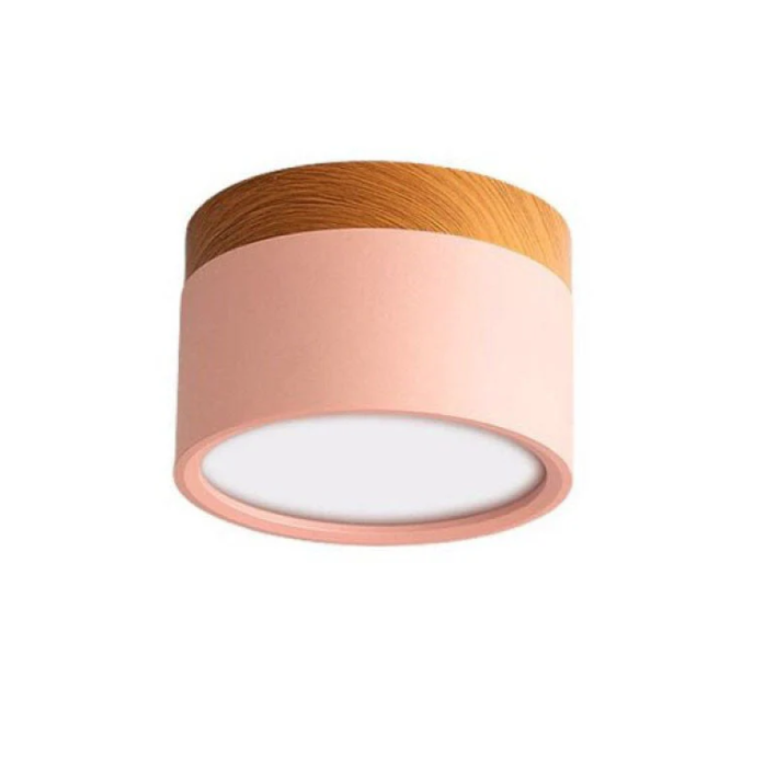 Skorter | Morandi-inspired Modern LED ceiling lamp