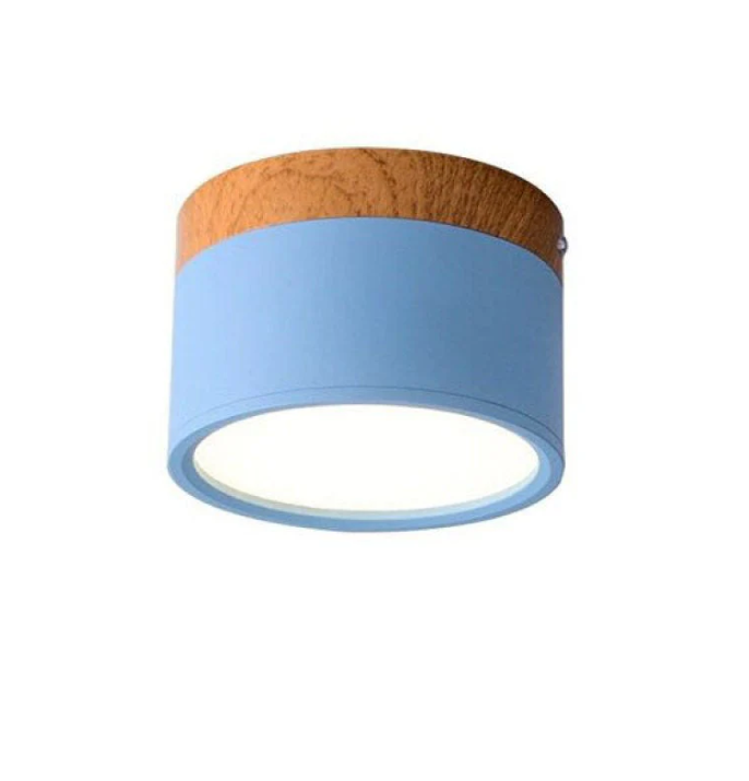 Skorter | Morandi-inspired Modern LED ceiling lamp