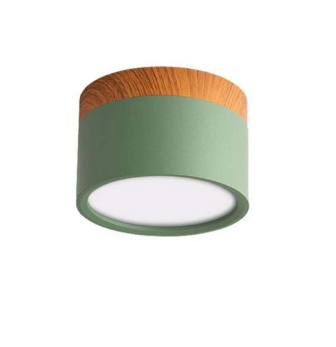 Skorter | Morandi-inspired Modern LED ceiling lamp