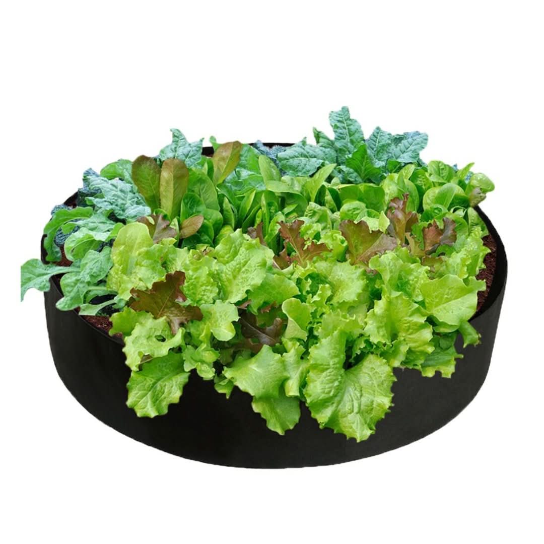 Skorter | Cultivation Box - Mini Kitchen Garden for Every Home