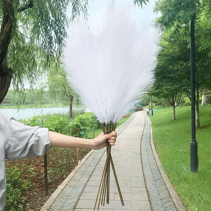 Skorter | 5 pieces 100 cm Artificial Pampas Grass Dried Flower Bouquet Wedding Party Decoration Home Room DIY Artificial Plants Decoration Supplies
