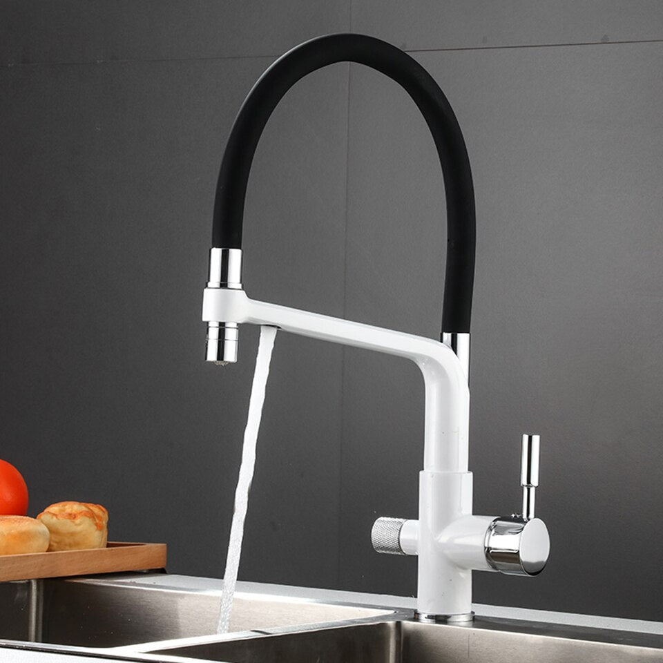 Skorter | Double Outlet Drinking Water Faucet Filtered Kitchen Faucets