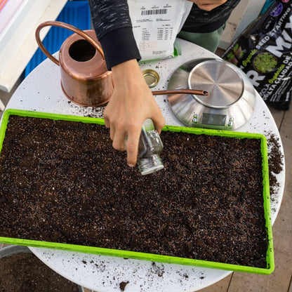Skorter | 1020 Microgreen Tray Shallow Extra Strength
