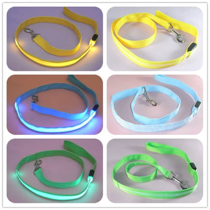 Skorter | Leash for dogs glow in the dark