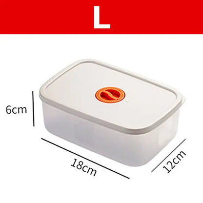 Skorter | Bento Lunchbox – Food container with compartments