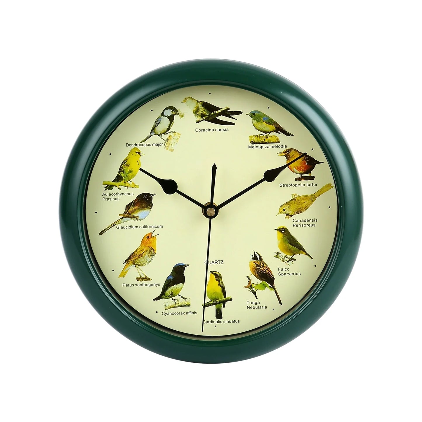 Skorter | VogelZang - 10 Inch Singing Bird Wall Clock for Stylish Home Decor