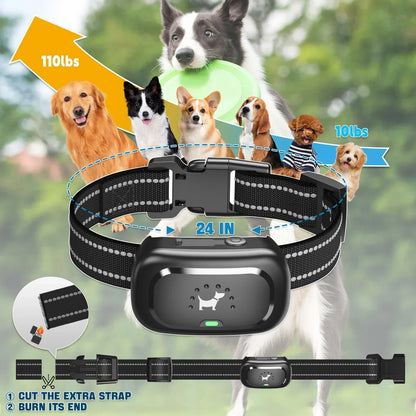 Skorter | Dog Training Collar with Remote – Shock Lock, Sound & Vibration Modes, Waterproof, 1600ft Range