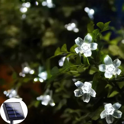 Skorter | SolarFlora - Sunlight Garden Flower Decoration