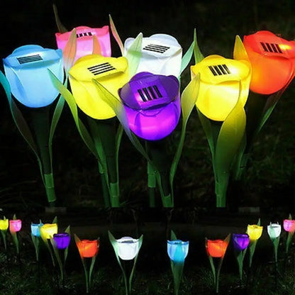 Skorter | SolarGlow - Solar Energy Tulip Lamps for Garden – Decorative LED Outdoor Lighting