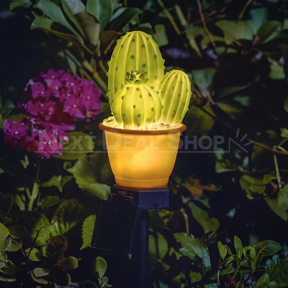 Skorter | Solar-Powered Cactus Candle Holder