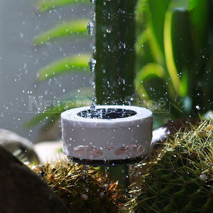 Skorter | Solar Powered Flower Pattern Path Lighting