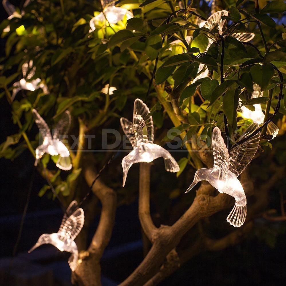Skorter | Solar-powered Hummingbird Light
