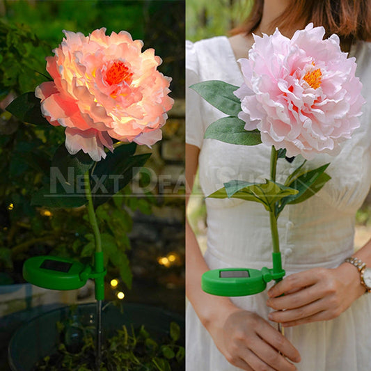 Skorter | Solar Powered LED Pink Peony Stake Light