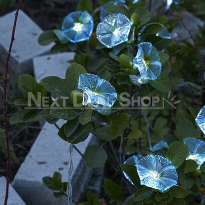 Skorter | Solar-powered Morgenglory Light