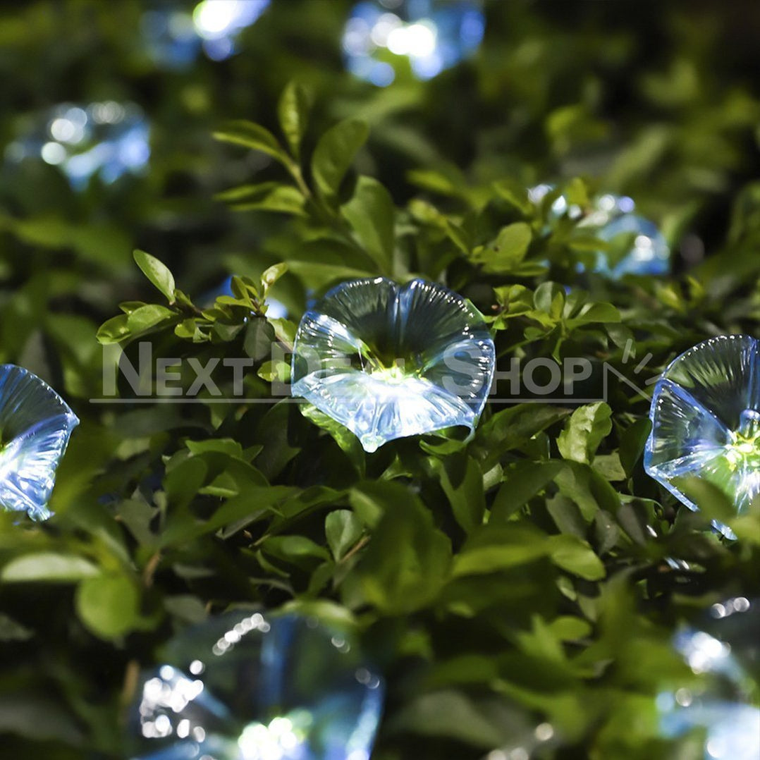 Skorter | Solar-powered Morgenglory Light