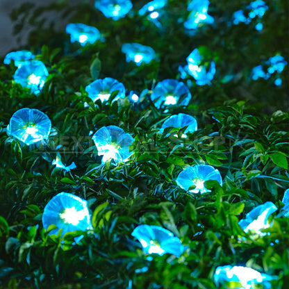 Skorter | Solar-powered Morgenglory Light