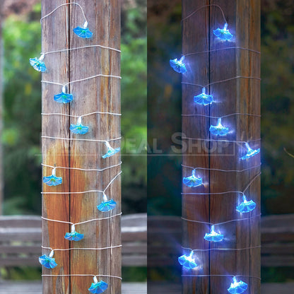 Skorter | Solar-powered Morgenglory Light