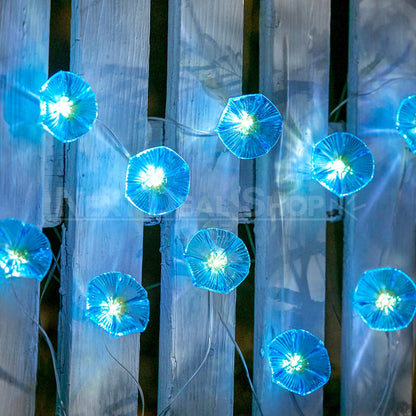 Skorter | Solar-powered Morgenglory Light