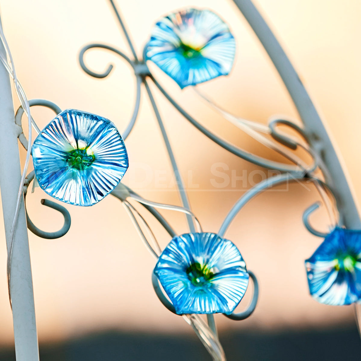 Skorter | Solar-powered Morgenglory Light