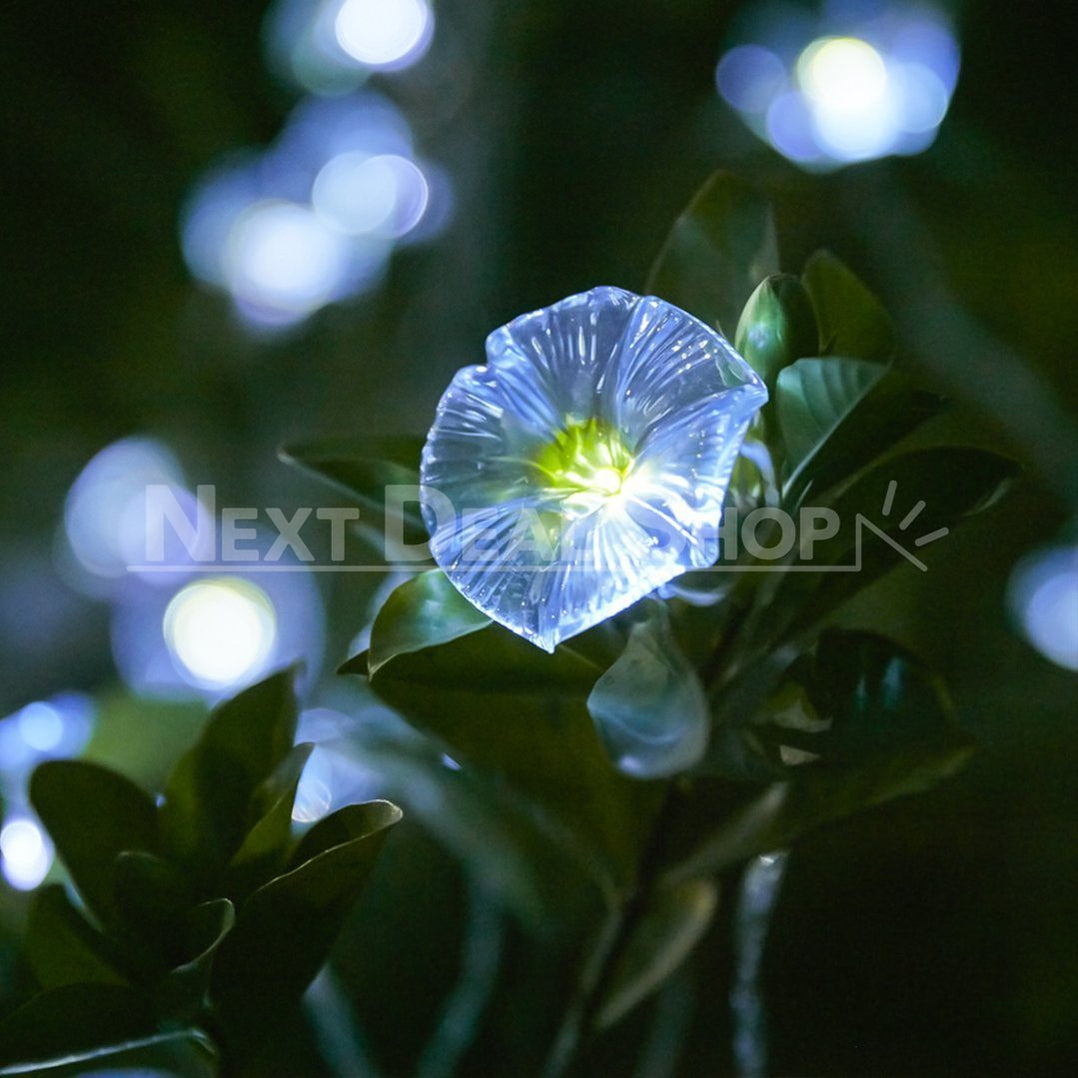 Skorter | Solar-powered Morgenglory Light