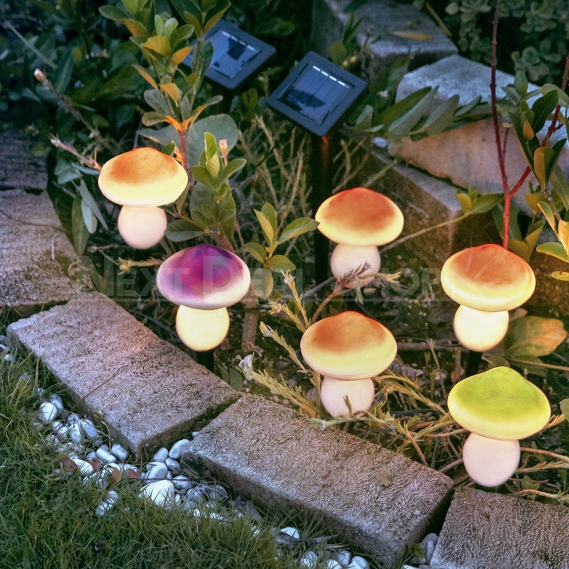Skorter | Solar powered mushroom stake light