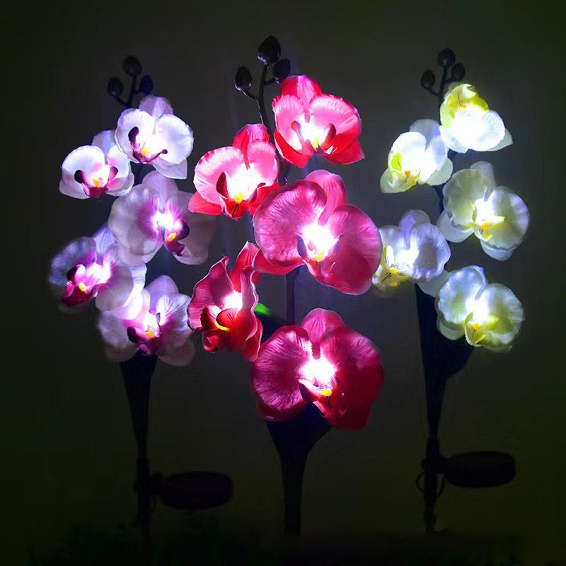 Skorter | Solar-powered orchid flower stake light