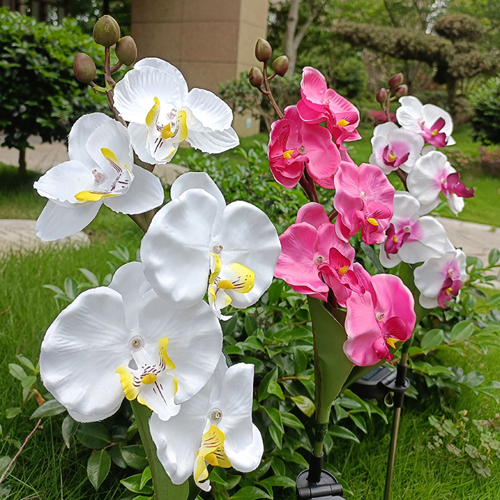 Skorter | Solar-powered orchid flower stake light