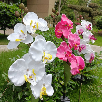 Skorter | Solar-powered orchid flower stake light