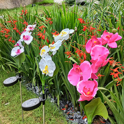 Skorter | Solar-powered orchid flower stake light